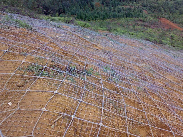 ߅�·��o�W���