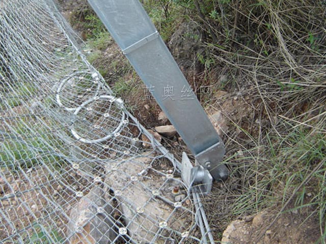 ����(d��ng)���o(h��)�W(w��ng)�㲿��