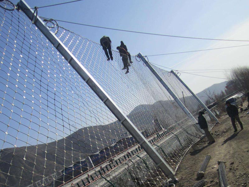 ���ٹ�·���b߅�·��o(h��)�W(w��ng)