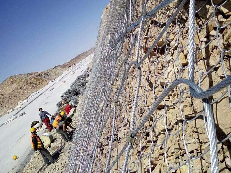 ����(d��ng)���o(h��)�W(w��ng)���b�M(f��i)��